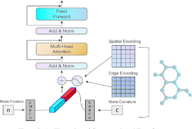 Figure 3 for Curvature-based Transformer for Molecular Property Prediction