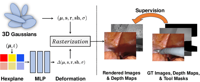 Figure 1 for Deformable Endoscopic Tissues Reconstruction with Gaussian Splatting