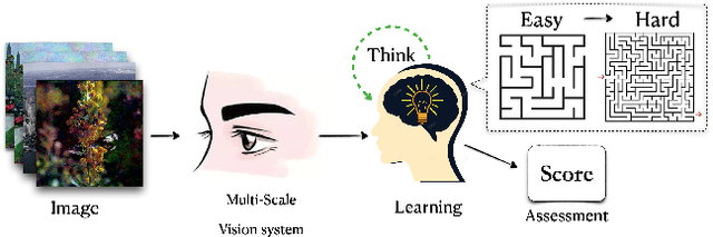 Figure 1 for PMT-IQA: Progressive Multi-task Learning for Blind Image Quality Assessment