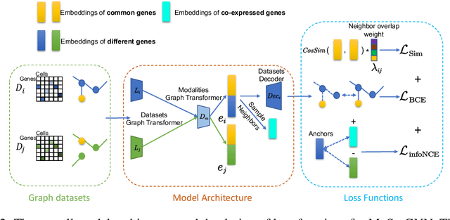 Figure 3 for MuSe-GNN: Learning Unified Gene Representation From Multimodal Biological Graph Data