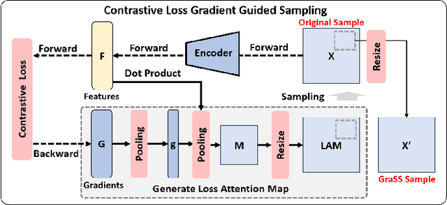 Figure 3 for GraSS: Contrastive Learning with Gradient Guided Sampling Strategy for Remote Sensing Image Semantic Segmentation
