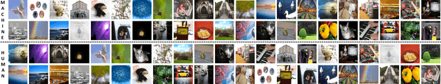 Figure 1 for What Images are More Memorable to Machines?