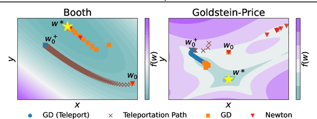 Figure 1 for Level Set Teleportation: An Optimization Perspective