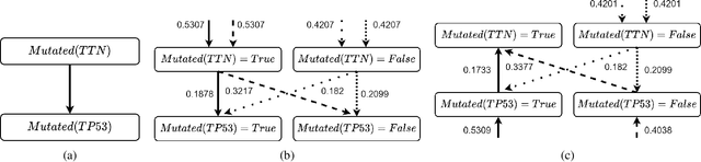 Figure 1 for Learning the Finer Things: Bayesian Structure Learning at the Instantiation Level
