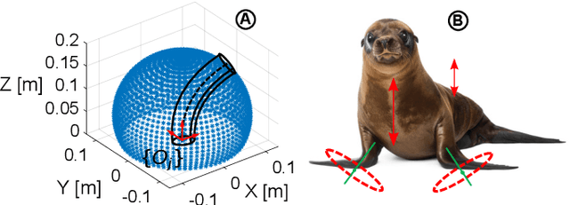 Figure 4 for Study on Soft Robotic Pinniped Locomotion