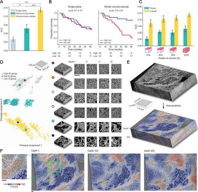 Figure 3 for Weakly Supervised AI for Efficient Analysis of 3D Pathology Samples