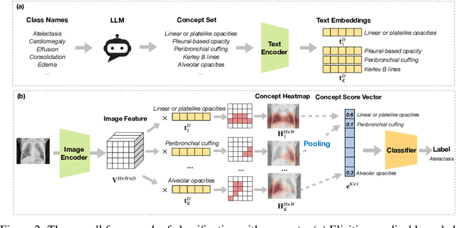 Figure 3 for Robust and Interpretable Medical Image Classifiers via Concept Bottleneck Models