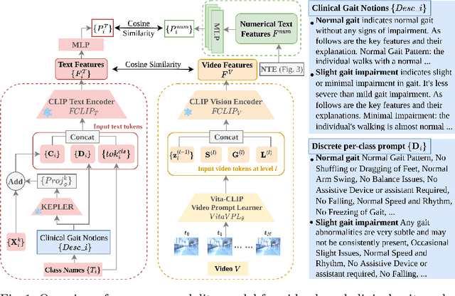 Figure 1 for Enhancing Gait Video Analysis in Neurodegenerative Diseases by Knowledge Augmentation in Vision Language Model