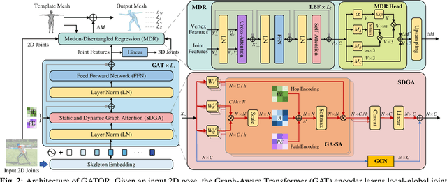 Figure 3 for GATOR: Graph-Aware Transformer with Motion-Disentangled Regression for Human Mesh Recovery from a 2D Pose