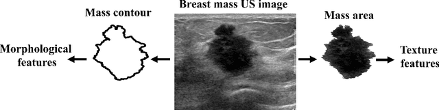 Figure 2 for Deep meta-learning for the selection of accurate ultrasound based breast mass classifier