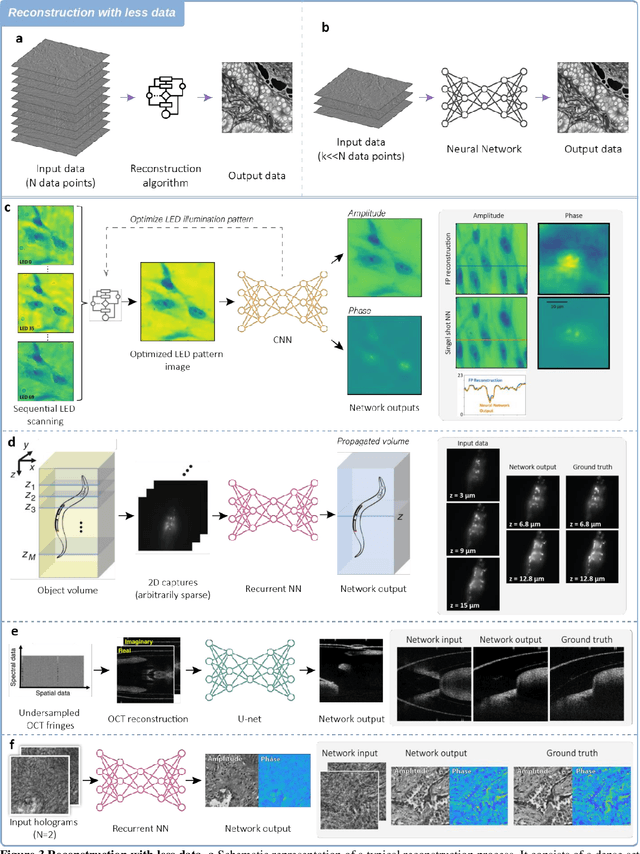 Figure 4 for Neural Network-Based Processing and Reconstruction of Compromised Biophotonic Image Data
