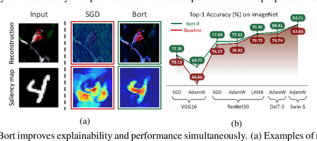 Figure 1 for Bort: Towards Explainable Neural Networks with Bounded Orthogonal Constraint