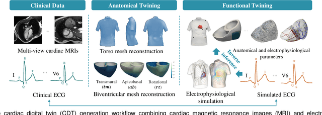 Figure 1 for Towards Enabling Cardiac Digital Twins of Myocardial Infarction Using Deep Computational Models for Inverse Inference
