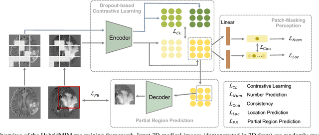Figure 2 for HybridMIM: A Hybrid Masked Image Modeling Framework for 3D Medical Image Segmentation