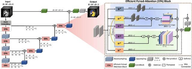 Figure 3 for UNETR++: Delving into Efficient and Accurate 3D Medical Image Segmentation