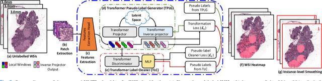 Figure 3 for Unsupervised Mutual Transformer Learning for Multi-Gigapixel Whole Slide Image Classification