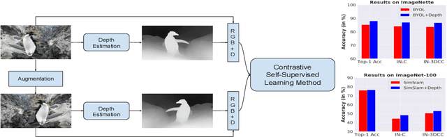 Figure 1 for Leveraging the Third Dimension in Contrastive Learning