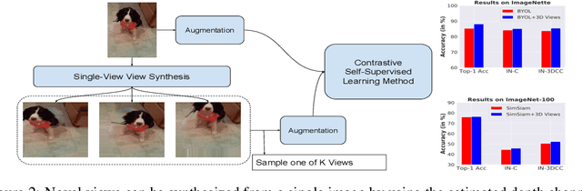 Figure 2 for Leveraging the Third Dimension in Contrastive Learning
