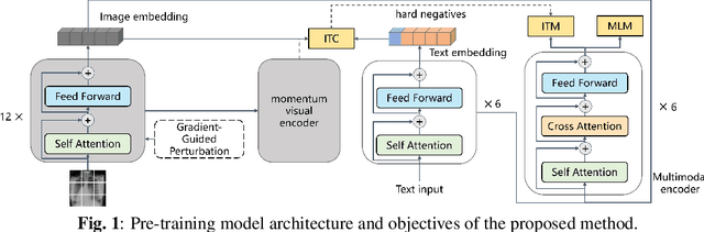 Figure 1 for Enhancing Generalization in Medical Visual Question Answering Tasks via Gradient-Guided Model Perturbation