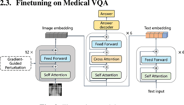 Figure 3 for Enhancing Generalization in Medical Visual Question Answering Tasks via Gradient-Guided Model Perturbation