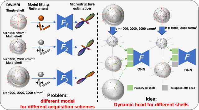 Figure 1 for A Unified Single-stage Learning Model for Estimating Fiber Orientation Distribution Functions on Heterogeneous Multi-shell Diffusion-weighted MRI