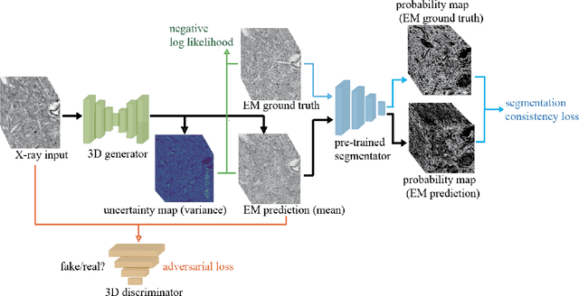 Figure 1 for X-Ray2EM: Uncertainty-Aware Cross-Modality Image Reconstruction from X-Ray to Electron Microscopy in Connectomics