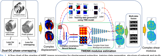Figure 1 for MR Elastography with Optimization-Based Phase Unwrapping and Traveling Wave Expansion-based Neural Network (TWENN)