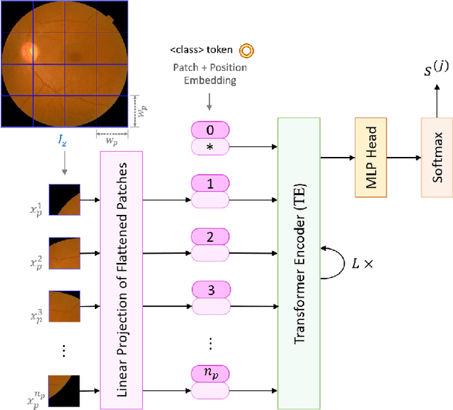 Figure 3 for Detecting Severity of Diabetic Retinopathy from Fundus Images using Ensembled Transformers