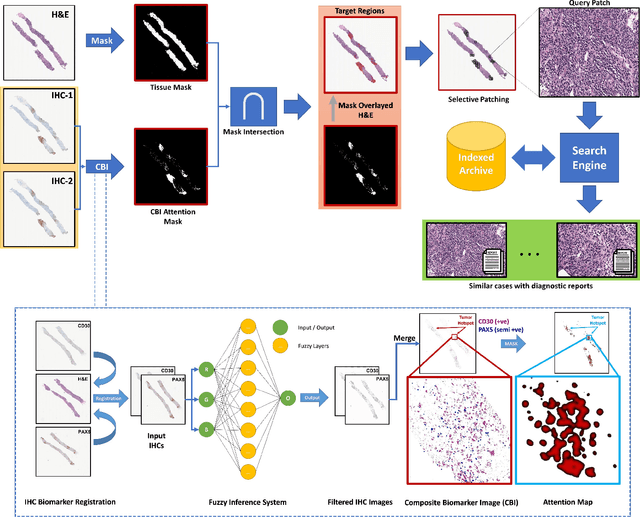 Figure 1 for Immunohistochemistry Biomarkers-Guided Image Search for Histopathology