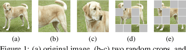 Figure 1 for Understanding Self-Supervised Pretraining with Part-Aware Representation Learning