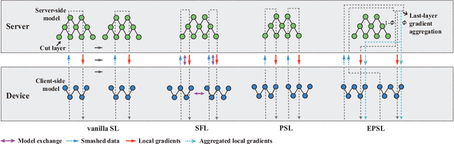 Figure 1 for Efficient Parallel Split Learning over Resource-constrained Wireless Edge Networks