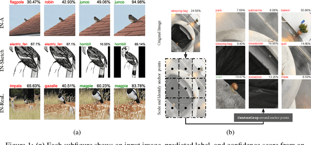 Figure 1 for Zoom is what you need: An empirical study of the power of zoom and spatial biases in image classification