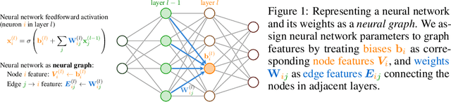 Figure 1 for Graph Neural Networks for Learning Equivariant Representations of Neural Networks
