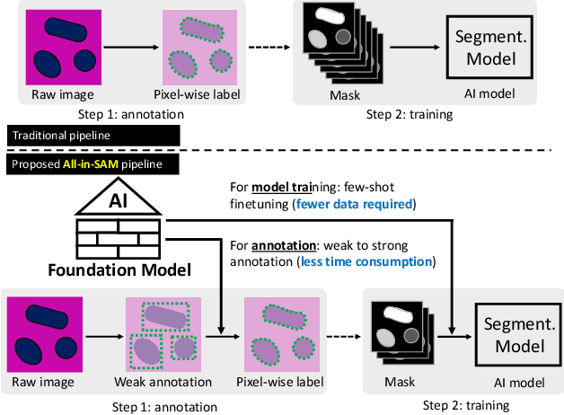 Figure 1 for All-in-SAM: from Weak Annotation to Pixel-wise Nuclei Segmentation with Prompt-based Finetuning