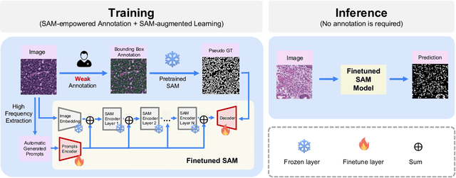 Figure 2 for All-in-SAM: from Weak Annotation to Pixel-wise Nuclei Segmentation with Prompt-based Finetuning