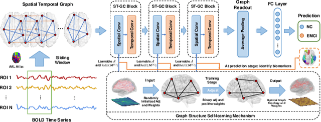 Figure 2 for Spatial Temporal Graph Convolution with Graph Structure Self-learning for Early MCI Detection