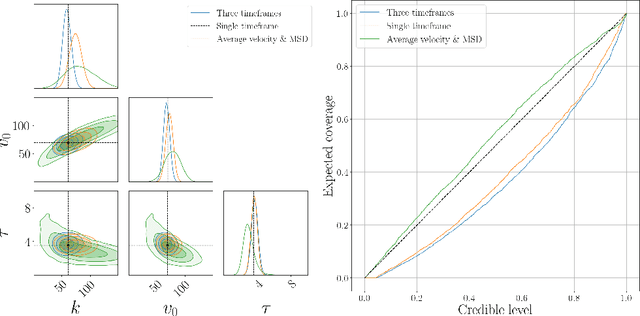 Figure 3 for Graph-informed simulation-based inference for models of active matter