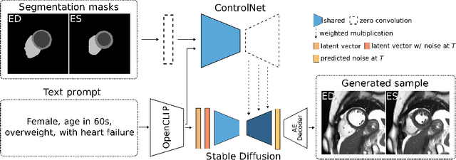 Figure 3 for Debiasing Cardiac Imaging with Controlled Latent Diffusion Models