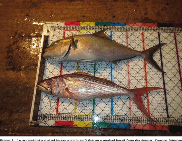 Figure 4 for FishNet: Deep Neural Networks for Low-Cost Fish Stock Estimation