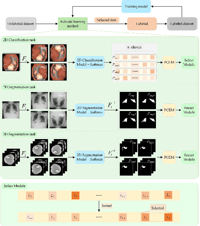 Figure 1 for PCDAL: A Perturbation Consistency-Driven Active Learning Approach for Medical Image Segmentation and Classification
